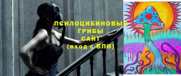 дживик Медвежьегорск