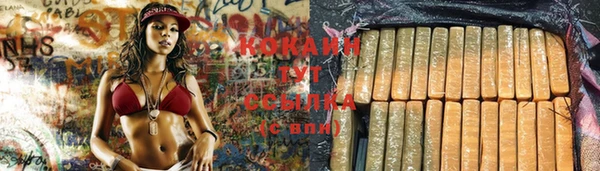 дживик Медвежьегорск