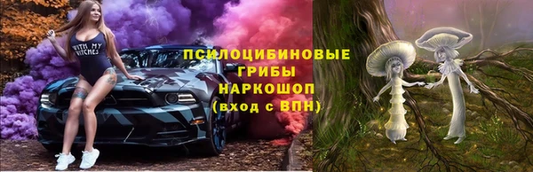дживик Медвежьегорск