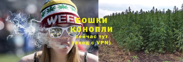 дживик Медвежьегорск