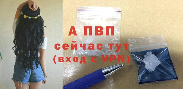 дживик Медвежьегорск
