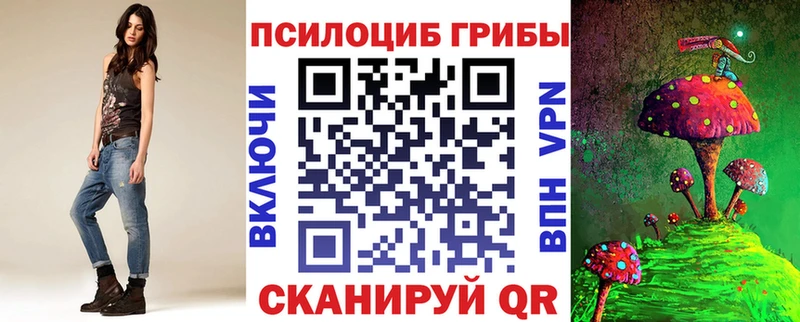 OMG сайт наркошоп Дзержинск Псилоцибиновые грибы Psilocybe