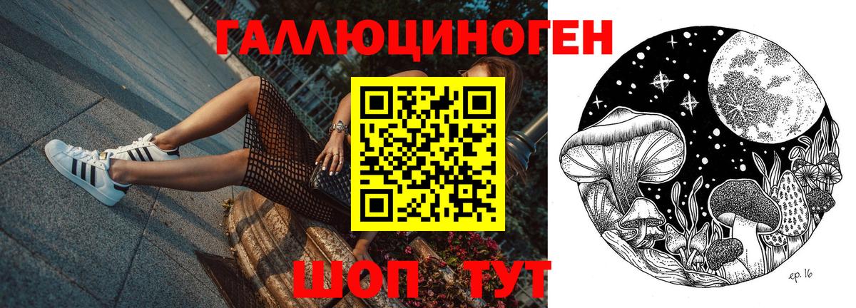 Псилоцибиновые грибы GOLDEN TEACHER Дзержинск
