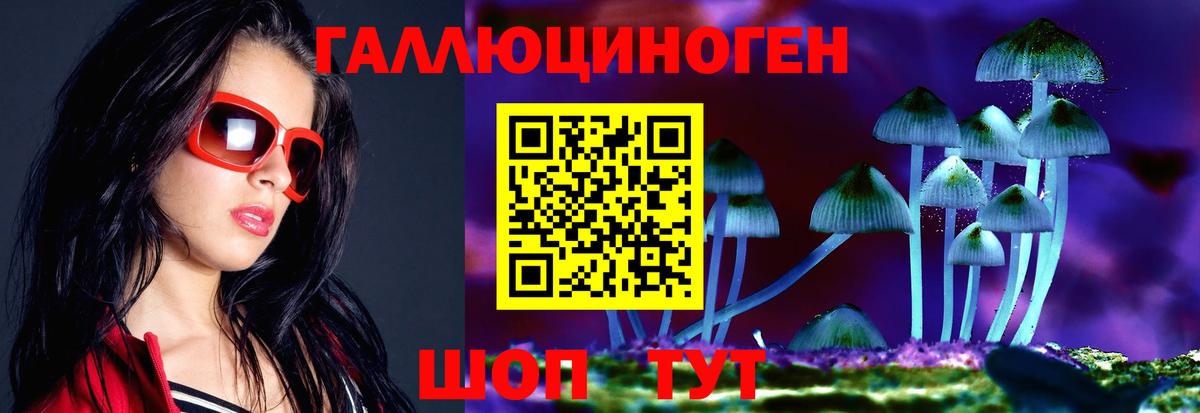 закладки  Дзержинск  Псилоцибиновые грибы прущие грибы 